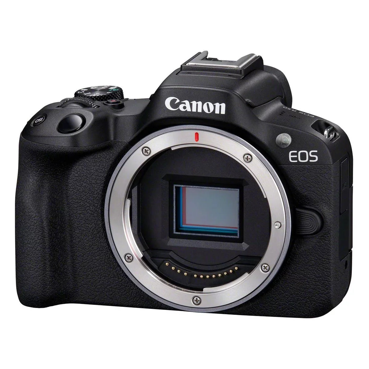 Canon EOS R50 (Black) + Canon RF-S 18-45mm f/4.5-6.3 IS STM + Canon RF-S 55-210mm f/5-7.1 IS STM (Canon 5811C023)